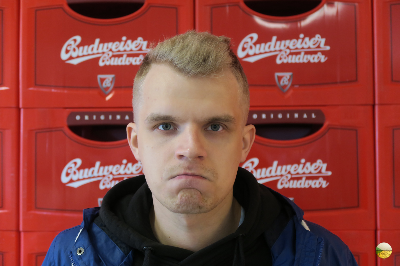 České Budějovice, brewery